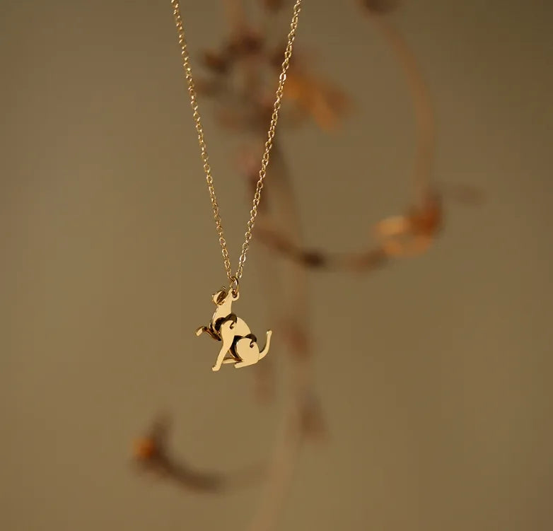 cadena de gato